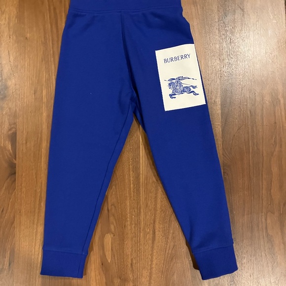 NWT- Burberry Boy's Sidney Logo Patch Jogger Pants - Picture 2 of 9